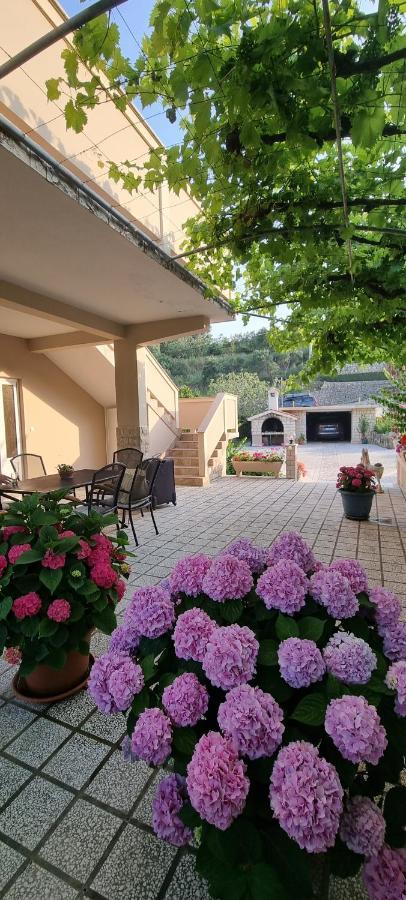 Apartman Anka Palit Εξωτερικό φωτογραφία